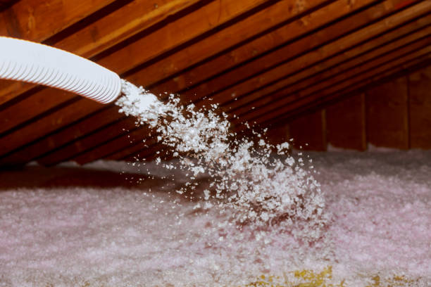 Best Geographic-Specific Insulation Services in Hico, TX