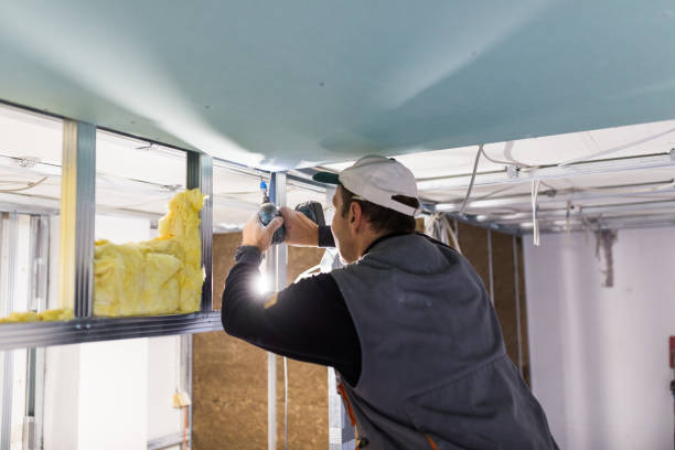 Types of Insulation We Offer in Hico, TX