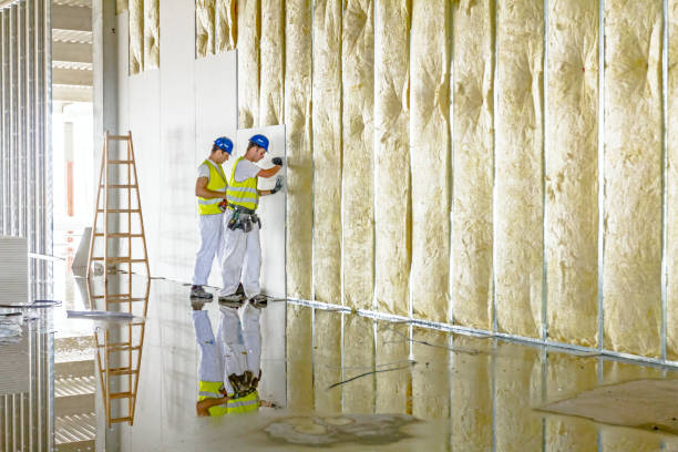 Best Specialized Insulation Services in Hico, TX